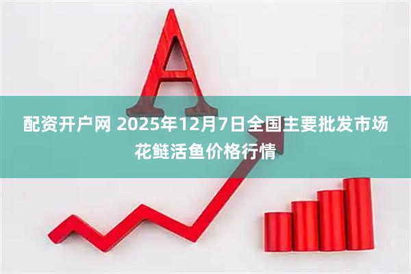 配资开户网 2025年12月7日全国主要批发市场花鲢活鱼价格行情